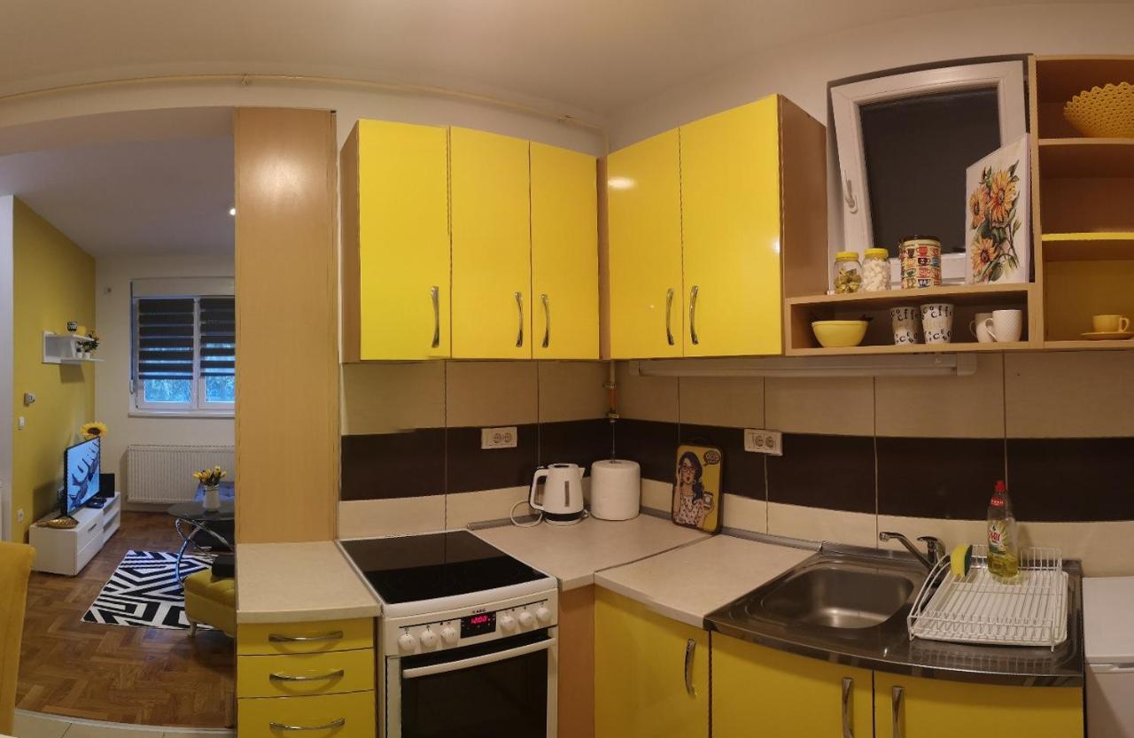 Apartman Sunflower Sremska Mitrovica Exterior foto