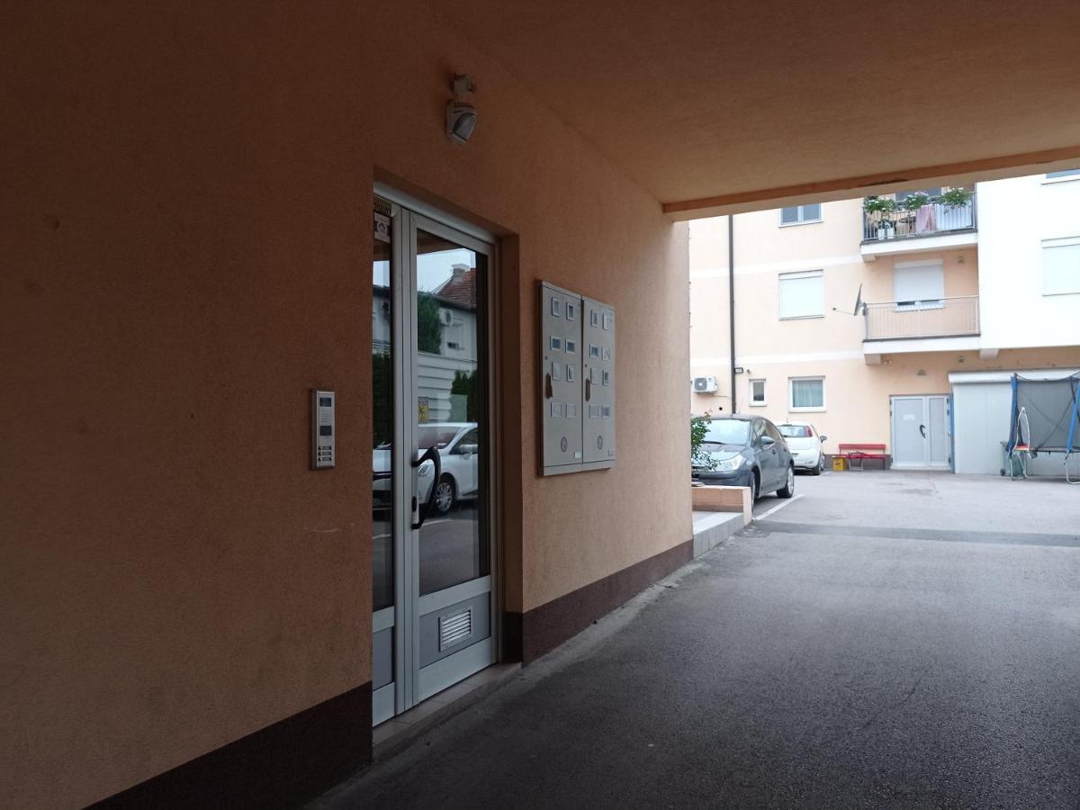 Apartman Sunflower Sremska Mitrovica Exterior foto